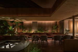 A modern restaurant interior with wooden seating, concrete accents, and lush green plants.