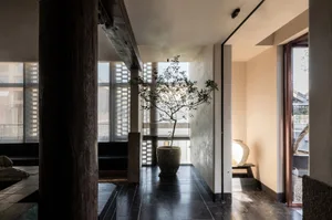 Modern living room featuring wooden furniture and plants.