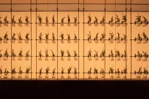 A modern industrial wall display featuring suspended plants in glass beakers.