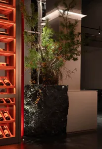 A modern reception desk featuring a concrete material with a plant and wine rack in the background.