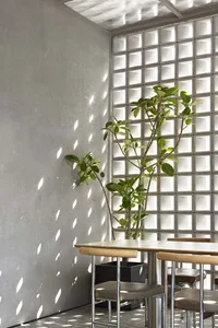 Modern restaurant interior with concrete walls and light filtering through a glass wall.