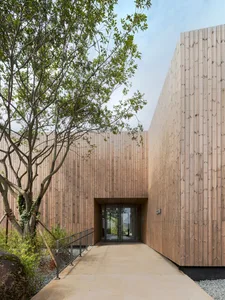 A modern building exterior made of wood with a tree in the foreground.