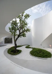 A modern, minimalist white interior space featuring a central tree and a winding concrete path.