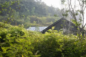 A picturesque rural landscape featuring a modern architecture building surrounded by lush greenery with a sloping roof.