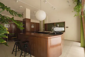 A modern coffee shop kitchen featuring a wooden bar counter with green plants and a large spherical light fixture.