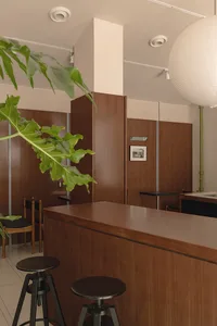 A modern coffee shop with a wooden counter, green plant, and greenery.