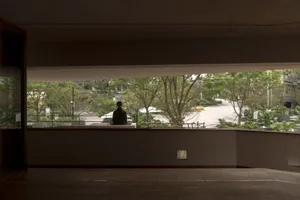 A modern interior space featuring concrete walls, glass windows, and lush green foliage.