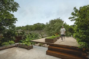 A rooftop terrace with metal planters surrounded by lush green jungle vegetation.