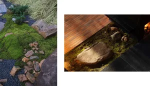 Modern landscaping design featuring rocks, moss, and gravel.