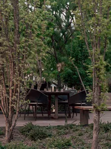 Modern outdoor dining area with wooden table, chairs, and greenery.
