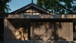 A modern house with a concrete exterior and a tree casting shadows on the wall.