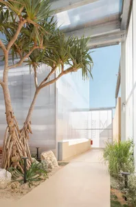 A modern minimalist interior with concrete walls, glass doors, and a central tree