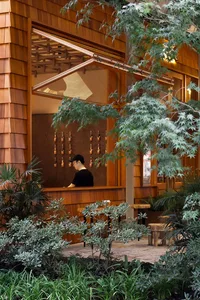 Modern restaurant interior with wooden materials and greenery.