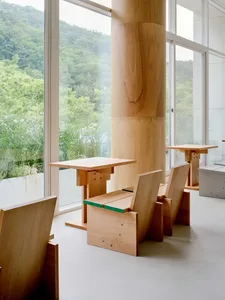 Modern educational space with wooden furniture and plants