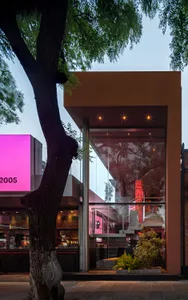 Modern storefront with a glass facade and tree in the foreground.