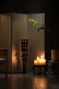 A cozy interior scene featuring candles and a decorative plant.