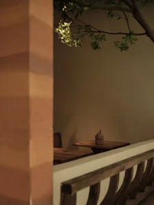 A minimalist restaurant with wooden tables and chairs, featuring a natural tree branch extending from the ceiling.