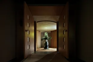 A modern entrance with marble flooring and wooden doors, featuring a centerpiece plant in a vase.