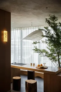 A modern restaurant interior featuring a wooden counter, concrete walls, and a large potted plant
