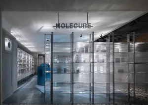 A glass storefront of a store called Molecule, with a metal frame structure.