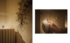 A display of jewelry with intricate designs and a unique artistic arrangement.