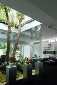 A modern minimalist living room with glass walls and a green indoor garden.