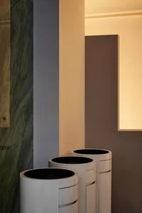 Modern dining chairs with sleek, curved legs and minimalist design.