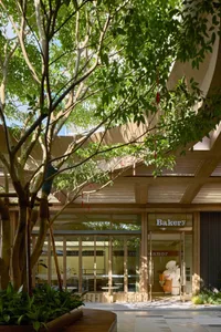 A modern bakery shop with a wooden exterior and large glass windows.