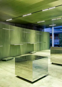 A green metallic interior design featuring a shiny metallic cube and green wooden shelves.