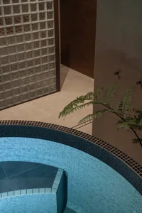 A modern swimming pool interior with glass brick walls and a plant.