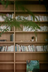A modern library with wooden shelves filled with books.
