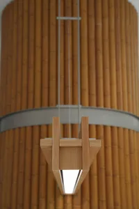 Modern lighting fixture with wooden beams