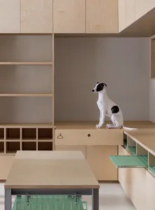A white and black dog sitting on a wooden desk in a minimalist interior setting.