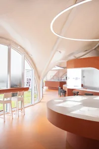 Organic-shaped room with modern furniture, large windows, and a spiral light fixture.
