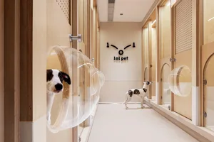 A modern dog hotel with wood paneling, featuring transparent dog enclosures and a clock reading "101 PETS"
