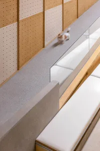 Concrete floor with crystal texture showcasing a cat walking along a pathway.
