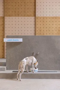 A dog drinking water from a bowl next to a water station sign in a concrete space.