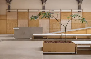 Minimalist interior design featuring a modern planter with a tree and white benches.