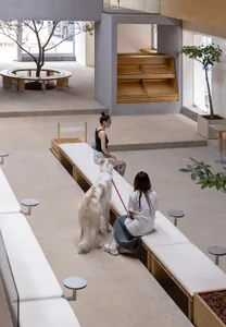 A modern library space featuring concrete and wood elements, with a dog walking on a leash near the seating area.