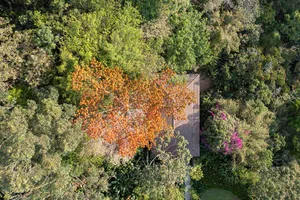 Aerial view of a modern residential tree house surrounded by lush greenery.
