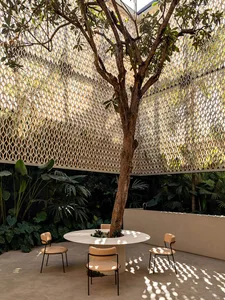 A modern indoor space with concrete flooring, wood furniture, and a large leafy tree in the center.