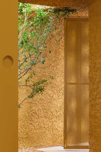 A view of a stucco entryway with a window covered by a mesh screen, featuring green vegetation.