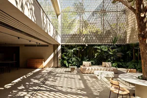 Modern minimalist living room with concrete flooring and a variety of green plants.
