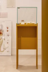 A yellow-painted wooden pedestal with a glass top, featuring an exhibit display case with small objects.
