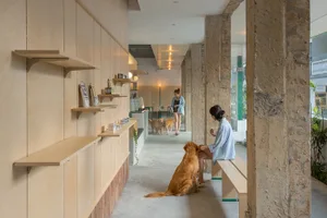 A cozy dog cafe with wooden shelves, concrete columns, and two dogs sitting next to a woman.