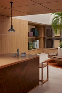 Modern retail showroom with wooden shelves displaying colorful suitcases, surrounded by wooden furniture and greenery.