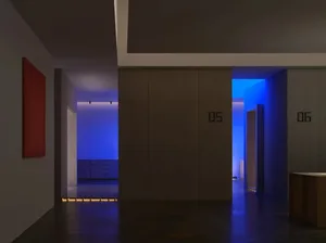 A minimalist corridor with a concrete floor and wall, illuminated by blue lights from the end.