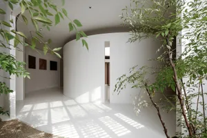 A minimalist interior design featuring a concrete lobby with a curved white wall and green foliage.