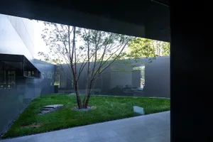 A minimalist garden courtyard featuring a tree on a grassy platform surrounded by glass walls and concrete ground.