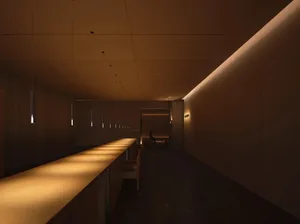 Modern bar with illuminated lighting and wooden counter.